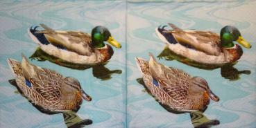 046 Enten - 3-lagig  - Paper Design