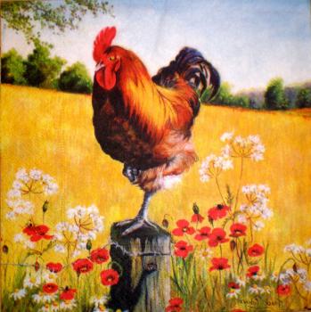 038 Rooster,  Hen - 3-ply - Künstler