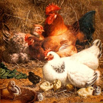 039 Rooster,  Hen - 3-ply - Künstler