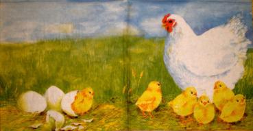 047 Rooster,  Hen - 3-ply - Ihr