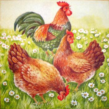 052 Hahn, Huhn - 3-lagig
