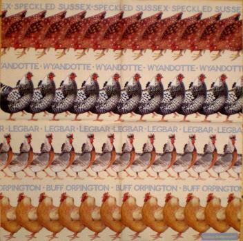 054 Hahn, Huhn - 3-lagig - Emma Bridgewater