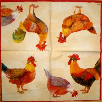 064 Rooster,  Hen - 3-ply (cream) - Ihr