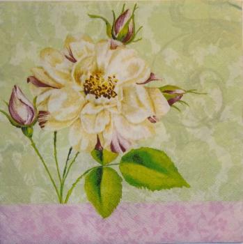 287 Rosen - 3-lagig - Paw