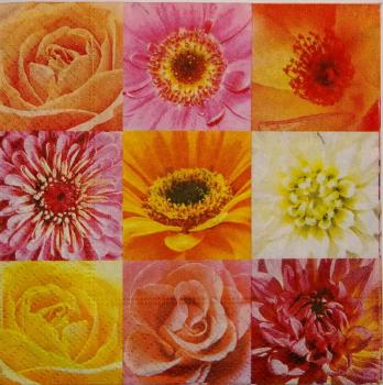293 Roses - 3-ply