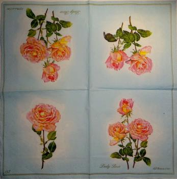 140 Rosen - 3-lagig (blau, rosa) - Ihr