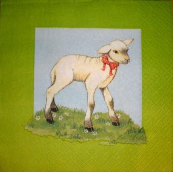 041 Sheep - 3-ply - Home Fashion