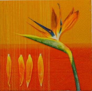 062 Flowers Others - 3 ply (orange) - Paper Design