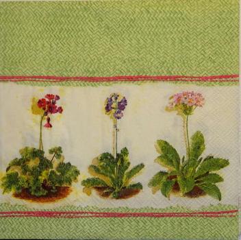 079 Flowers Others - 3 ply (grün)