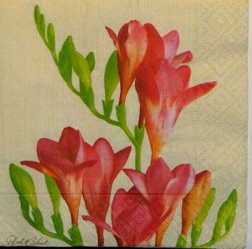 080 Blumen Sonstige - 3 lagig (80) - ppd CS