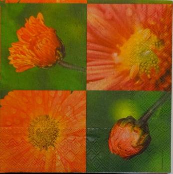 083 Flowers Others - 3 ply - Ambiente