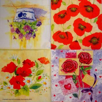 074 Anemones, Poppy - 3-ply - AVEC