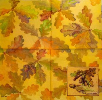 086 Herbst - 3-lagig - MOLCA / Ladies Mol