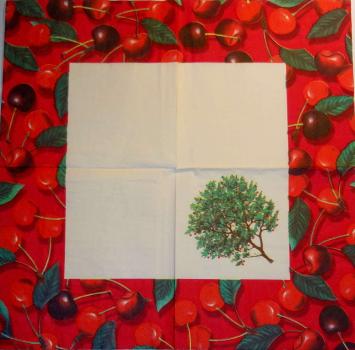 016 Cherries,  Plums - 3-ply