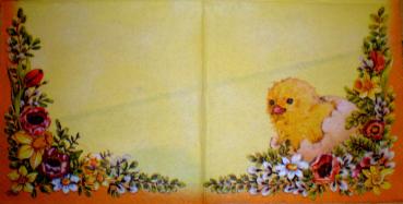 044 Küken - 3-lagig - (orange) - Paw