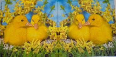 063 Ducks - 3-ply  - ppd