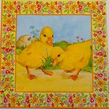 066 Enten - 3-lagig - Paw