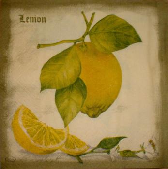 007 Lemons,  Oranges - 3-ply - PAW