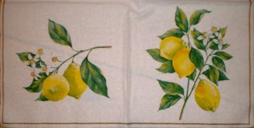 008 Lemons,  Oranges - 3-ply (weiß) - Ihr