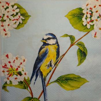 125 Vögel - 3-ply (blue) - Ihr