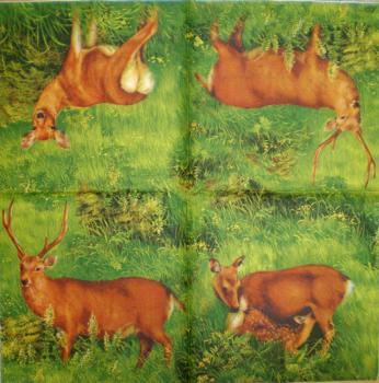 119 Deer - 3-ply - Ihr