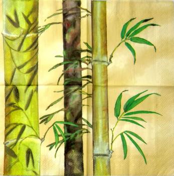 113 Asien - 3-lagig (beige) - Ihr