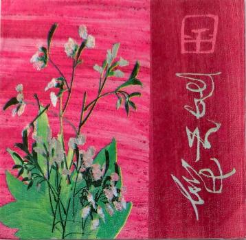 121 Asia - 3-ply (pink)