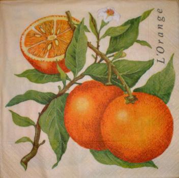 035 Lemons,  Oranges - 3-ply - Atelier