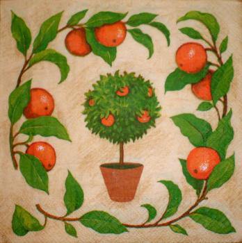 036 Lemons,  Oranges - 3-ply