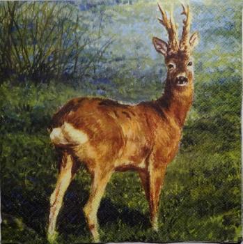 140 Deer - 3-ply
