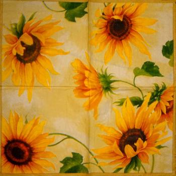 034 Sonnenblumen - 3 lagig (creme) - Ihr