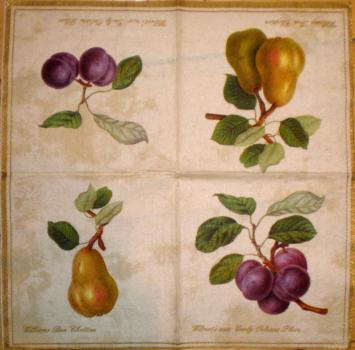 006 Cherries,  Plums - 3-ply (cream) - Ihr - Metropolitan Museum