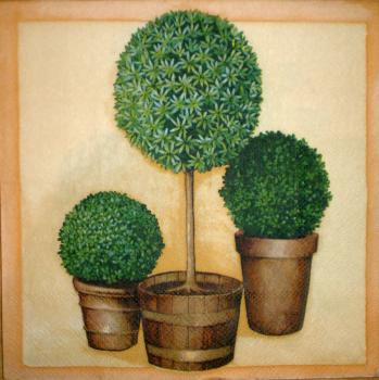 095 Garden - 3-ply