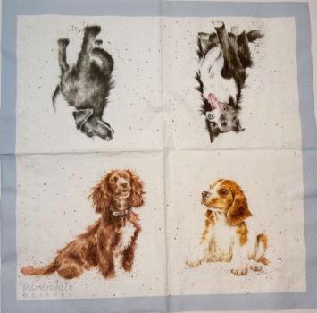 110 Dogs - 3-ply - Wrendale Designs - Hannah Dale