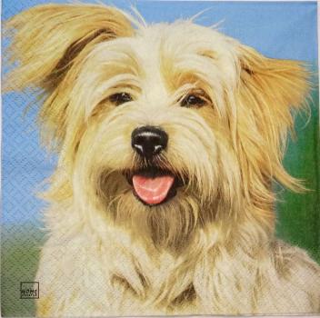 112 Dogs - 3-ply - Home Fashion