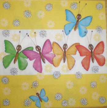 033 Schmetterlinge