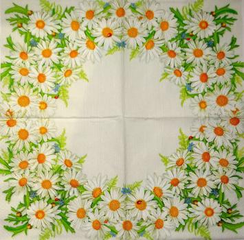162 Margeriten - 3-lagig - Daisy