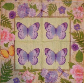 041 Butterflies - CS