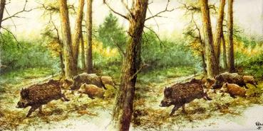 040 Pigs - 3-ply - Ambiente - Poortvliet