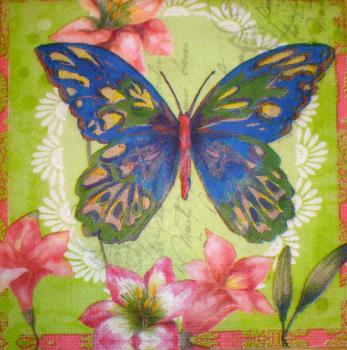 056 Butterflies - Adriana Cirstea