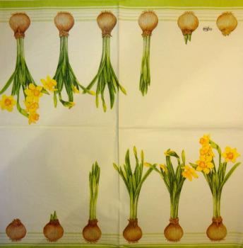 157 Daffodils - 3 ply - Ambiente