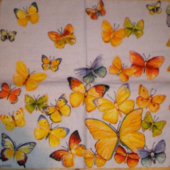 066 Butterflies - 3-ply - MOLCA