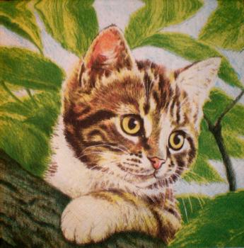 009 Katzen - 3-lagig - Paper Design