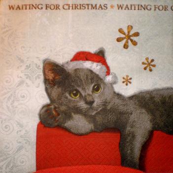 017 Katzen - 3-lagig - Paper Design