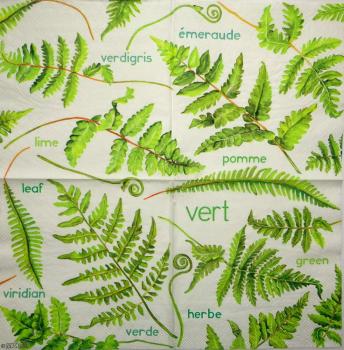 001 Plants - 3 ply - Molca