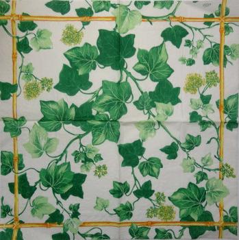 002 Plants - 3 ply - Ihr