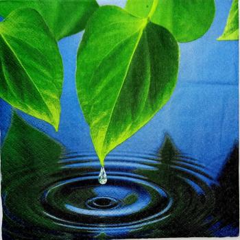 021 Plants - 3 ply - Stewo