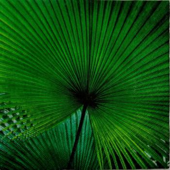 022 Plants - 3 ply - Stewo - Ella Doran
