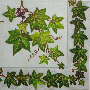 027 Plants - 3 ply (blue)