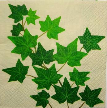 030 Plants - 3 ply (cream)